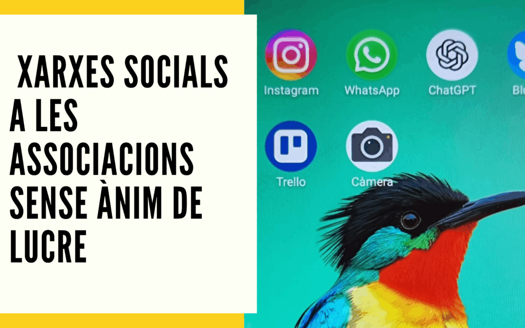 Les xarxes socials a les associacions sense ànim de lucre: una eina que no pot quedar en segon pla